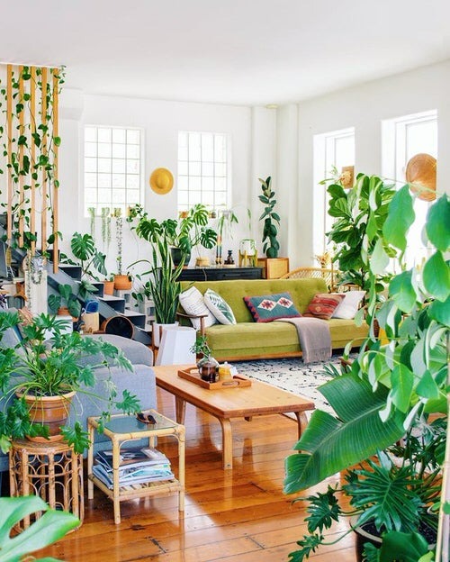 Trồng cây cảnh để chiêu tài, hút lộc, sức khỏe dồi dào cho gia đình cần lưu ý kiêng kỵ phong thủy này - Ảnh 11.