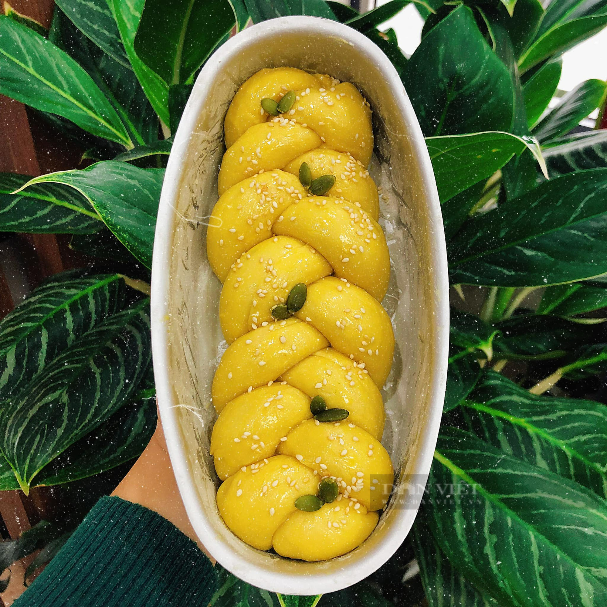 Bật mí cách làm bánh mì hoa cúc bông mềm, ngọt thơm cực ngon ngay tại nhà - Ảnh 3.