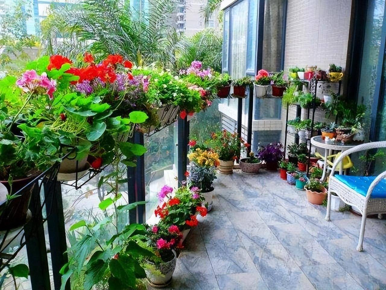 5 cây cảnh cần "vỗ béo" vào mùa thu để có sức vóc vạm vỡ để sinh nở con đàn cháu đống - Ảnh 1.