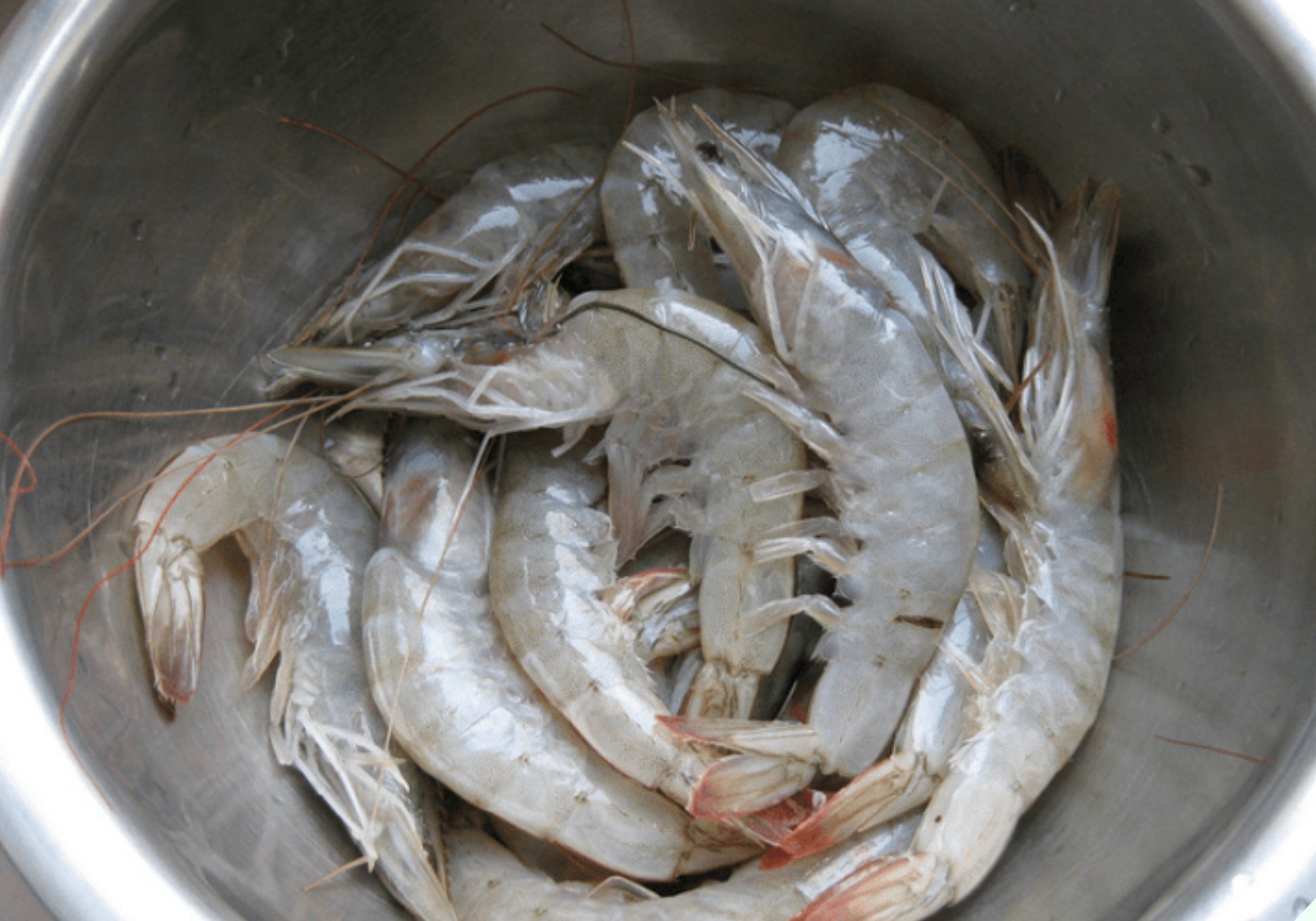 Luộc tôm đừng dùng hành, gừng để khử tanh, chỉ cần thêm vài hạt này tôm chín đỏ au, thơm lừng mà không hề có - Ảnh 7.