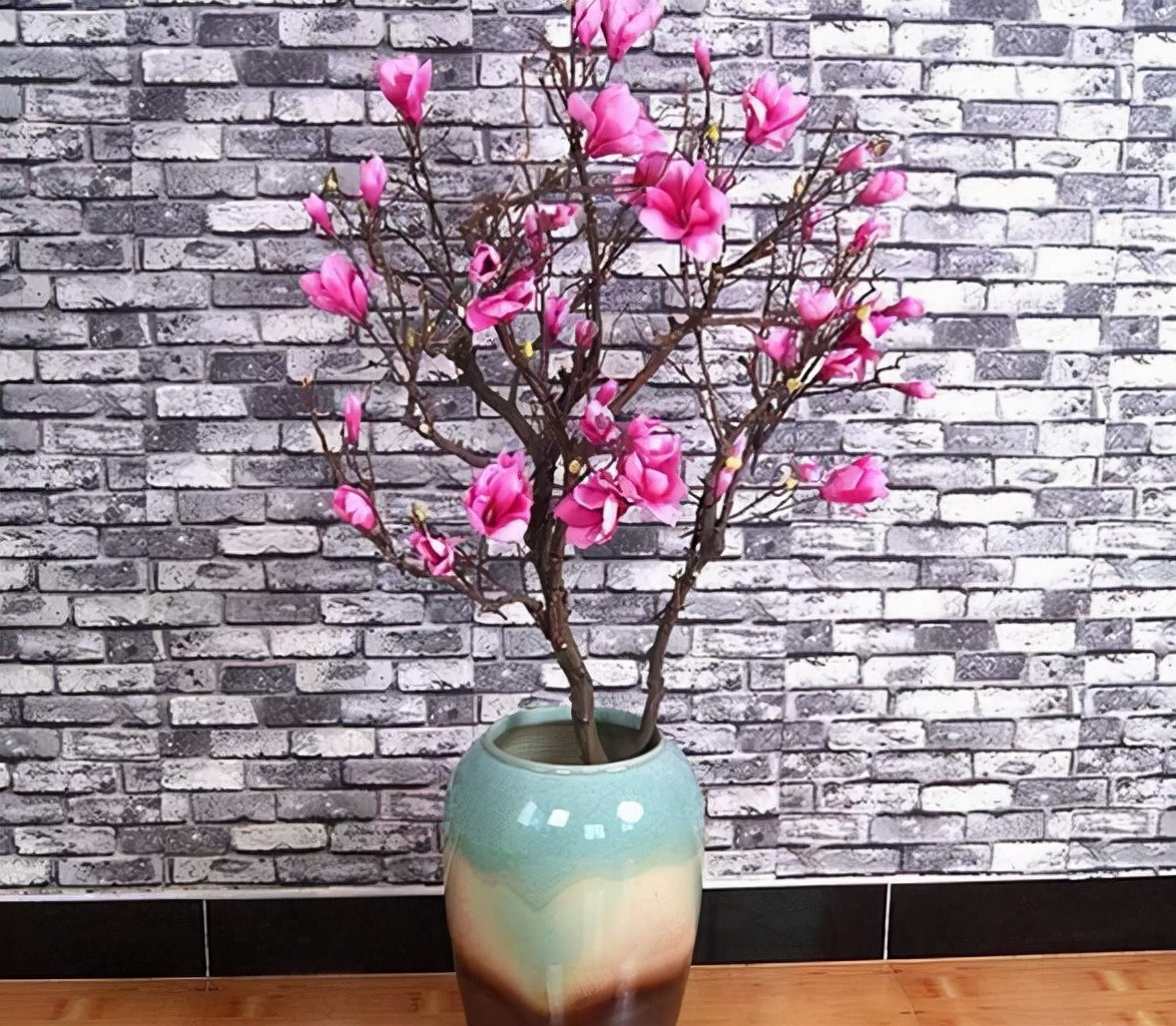 Người xưa nói: "Trồng 4 cây cảnh trong phòng khách, rước lộc vào cửa", nhà giàu nào cũng thích - Ảnh 2. Người xưa nói: "Trồng 4 cây cảnh trong phòng khách, rước lộc vào cửa", nhà giàu nào cũng thích - Ảnh 2.