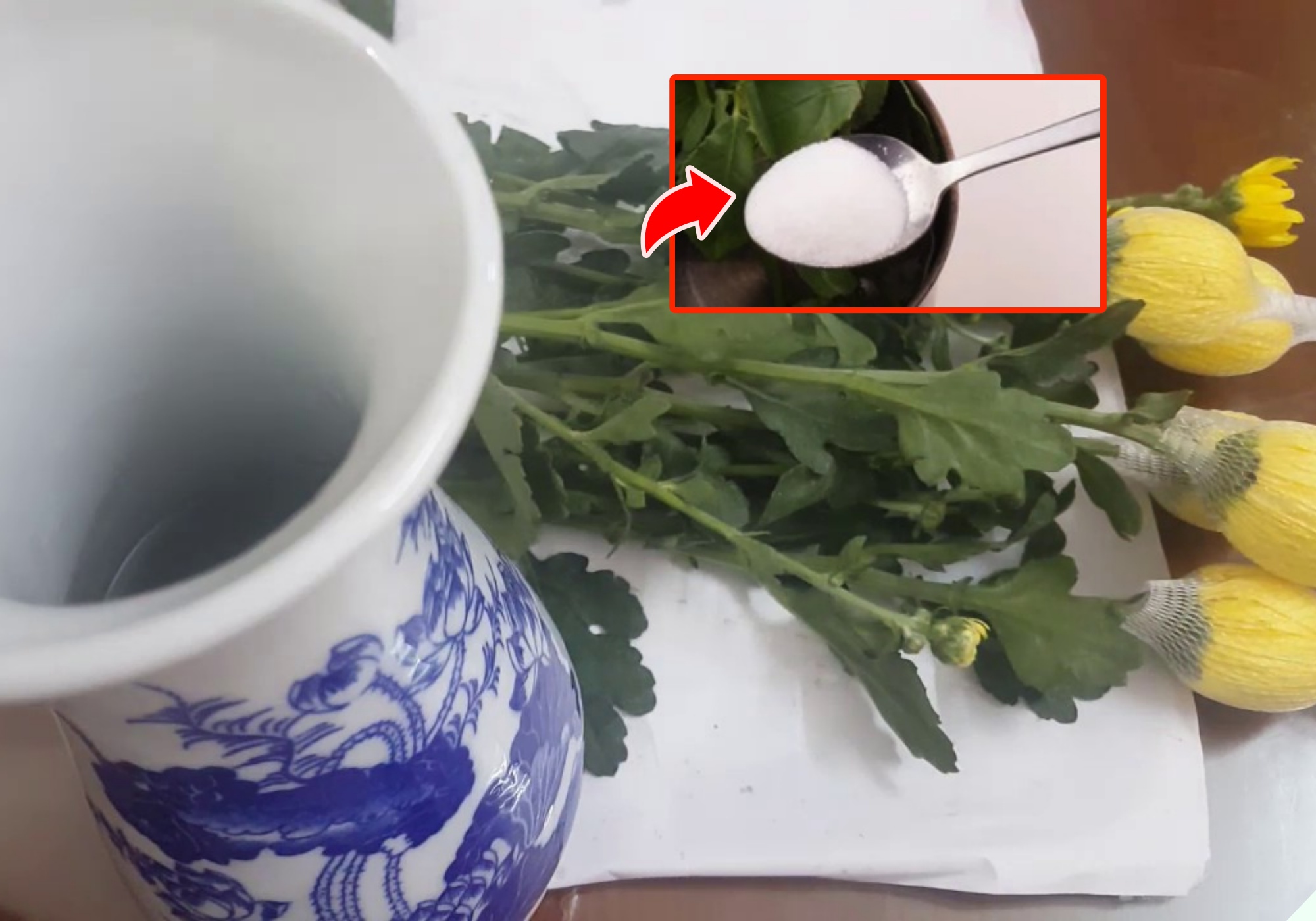 6 loại hoa tuyệt đối không bày bàn thờ ngày Tết - Ảnh 11. 6 loại hoa tuyệt đối không bày bàn thờ ngày Tết - Ảnh 11.