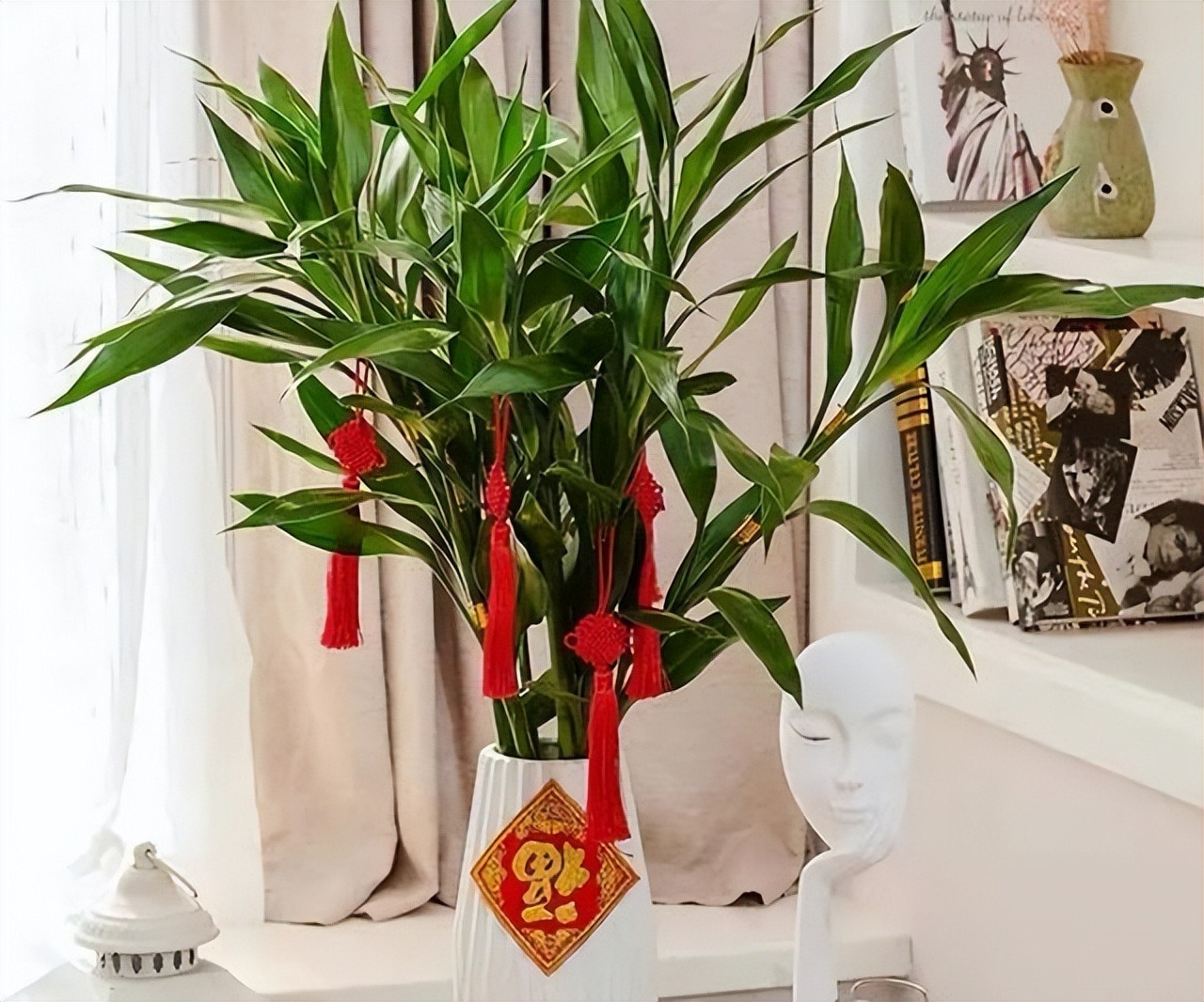 Người xưa nói: "10 hoa đua nở, vạn sự như ý", cây cảnh này nở hoa, năm mới nhà có lộc - Ảnh 15.