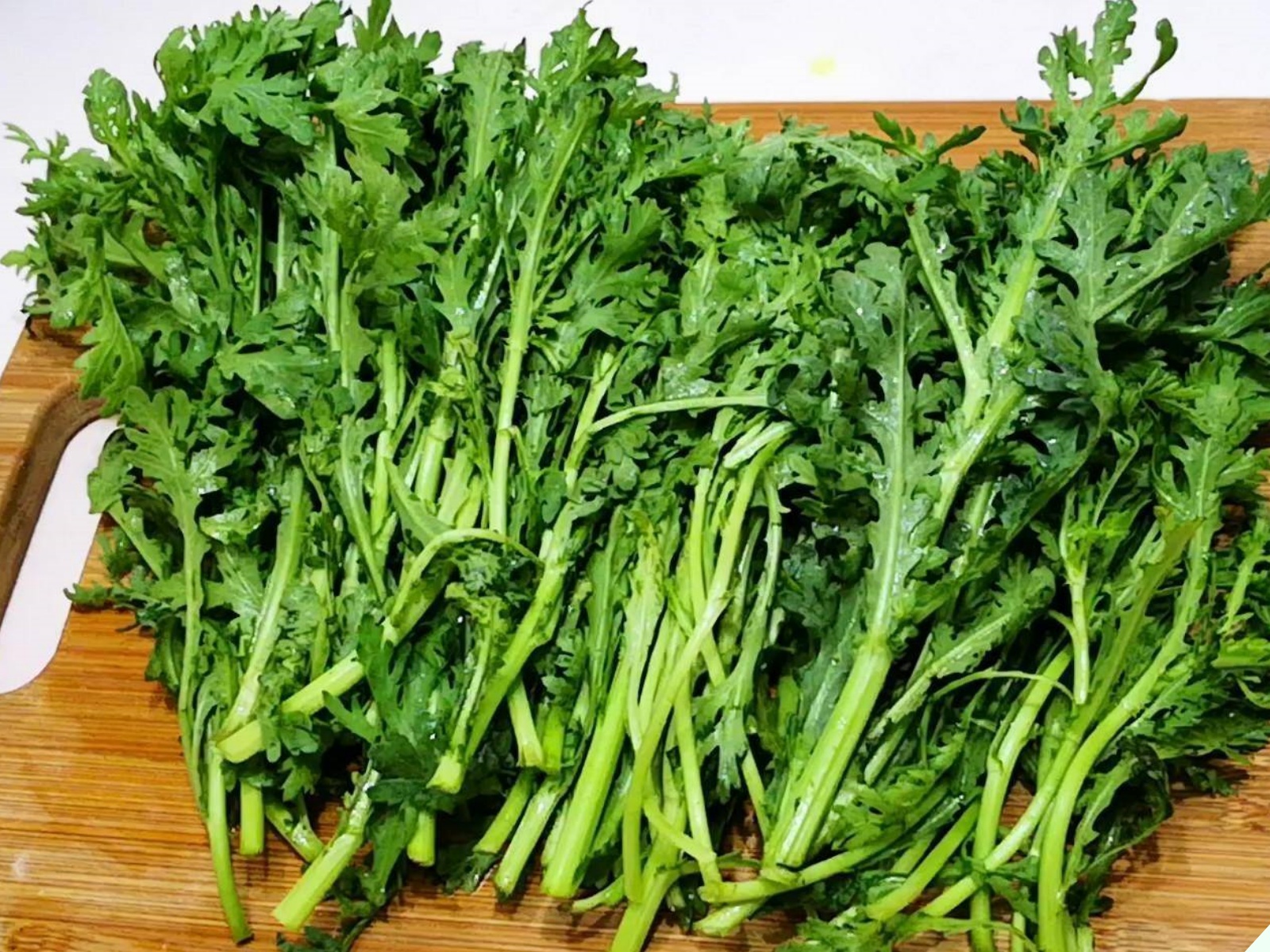 Loại rau người Trung Quốc ví như “món ăn hoàng đế”, đem nấu chung với thứ củ thông dụng này thành canh đại bổ - Ảnh 1.