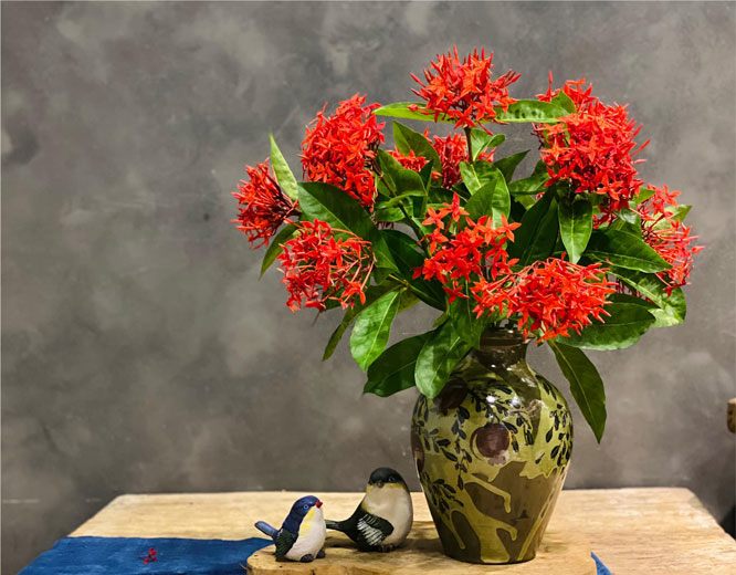 Cúng vía Thần Tài hãy đặt hoa này lên bàn thờ, Thần Tài “mê tít”, cả năm cho lộc to - Ảnh 1.