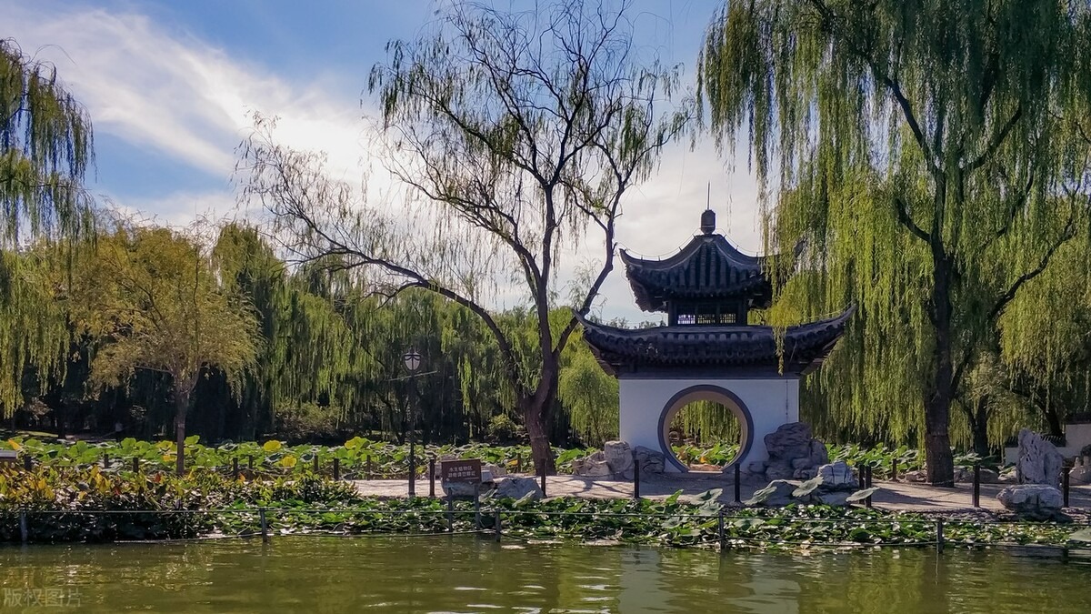 Người xưa dặn: "Trồng 5 loại cây này ngoài sân là điềm xấu, gia đình không sa sút cũng xui xẻo" - Ảnh 5.