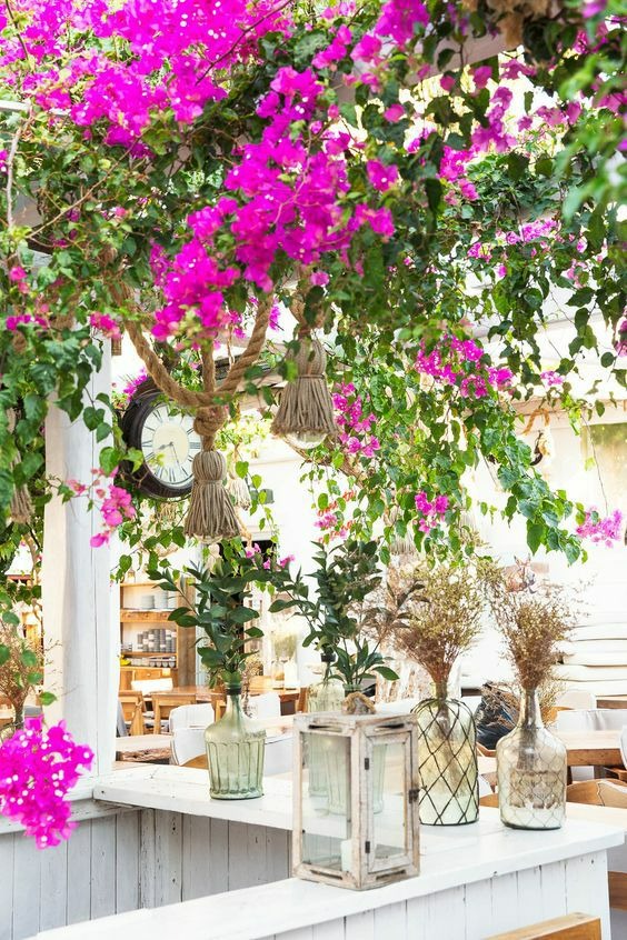 Người xưa dặn: "5 cây cảnh này trong nhà không nghèo cũng khó", năm mới sắp đến dọn nhanh còn kịp - Ảnh 1.