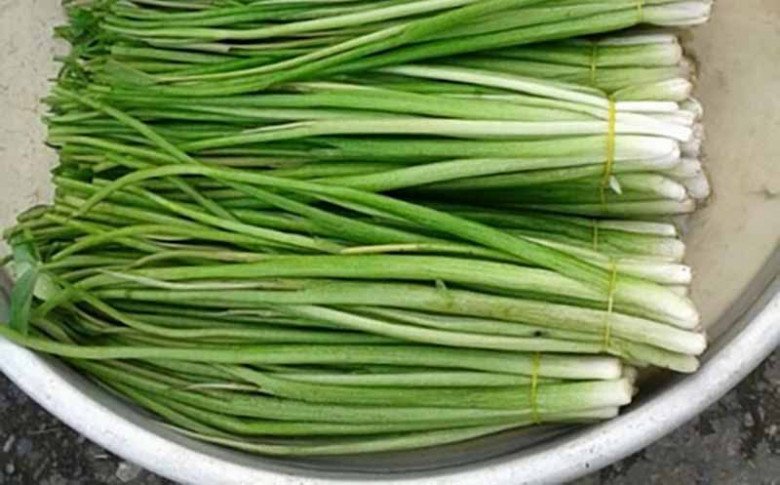 Cây này không trồng cũng tốt um, xưa chẳng ai ăn, nay dân thành phố thích mê vì sạch và ngon - Ảnh 2. Cây này không trồng cũng tốt um, xưa chẳng ai ăn, nay dân thành phố thích mê vì sạch và ngon - Ảnh 2.