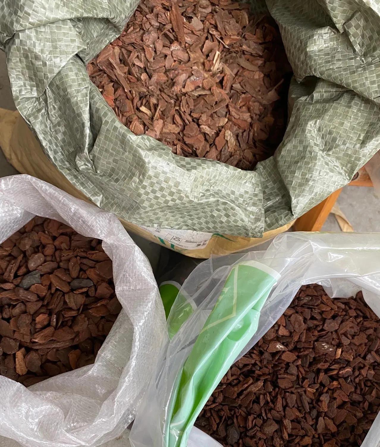 Trồng cây cảnh bằng 3 "loại da" này, cành lá xum xuê, hoa nở liên tục, trĩu cành, thơm ngát  - Ảnh 4.