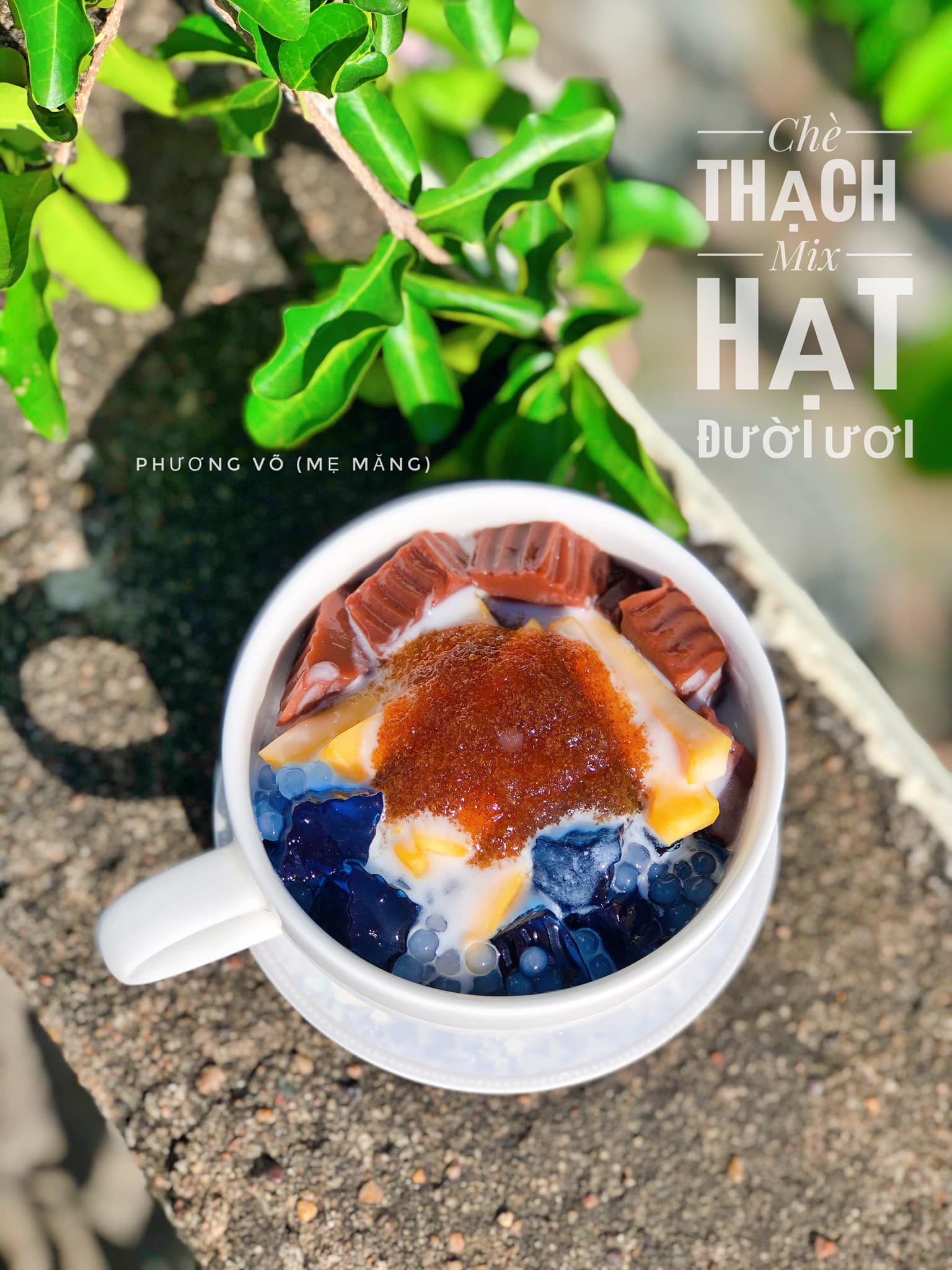 Loại hạt được mệnh danh "yến của núi rừng" vừa thanh mát giải nhiệt vừa tốt cho sức khỏe - Ảnh 11.