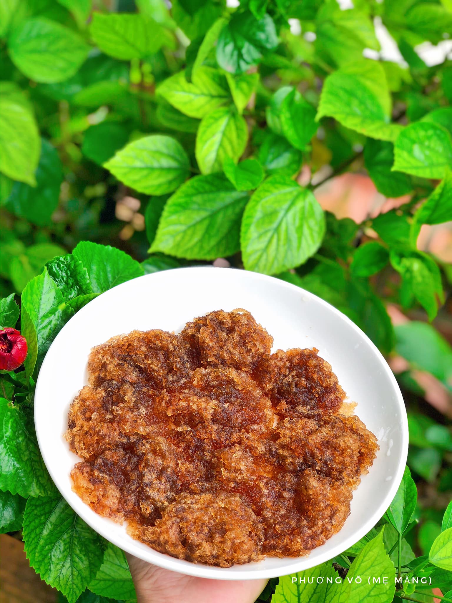 Loại hạt được mệnh danh "yến của núi rừng" vừa thanh mát giải nhiệt vừa tốt cho sức khỏe - Ảnh 4.