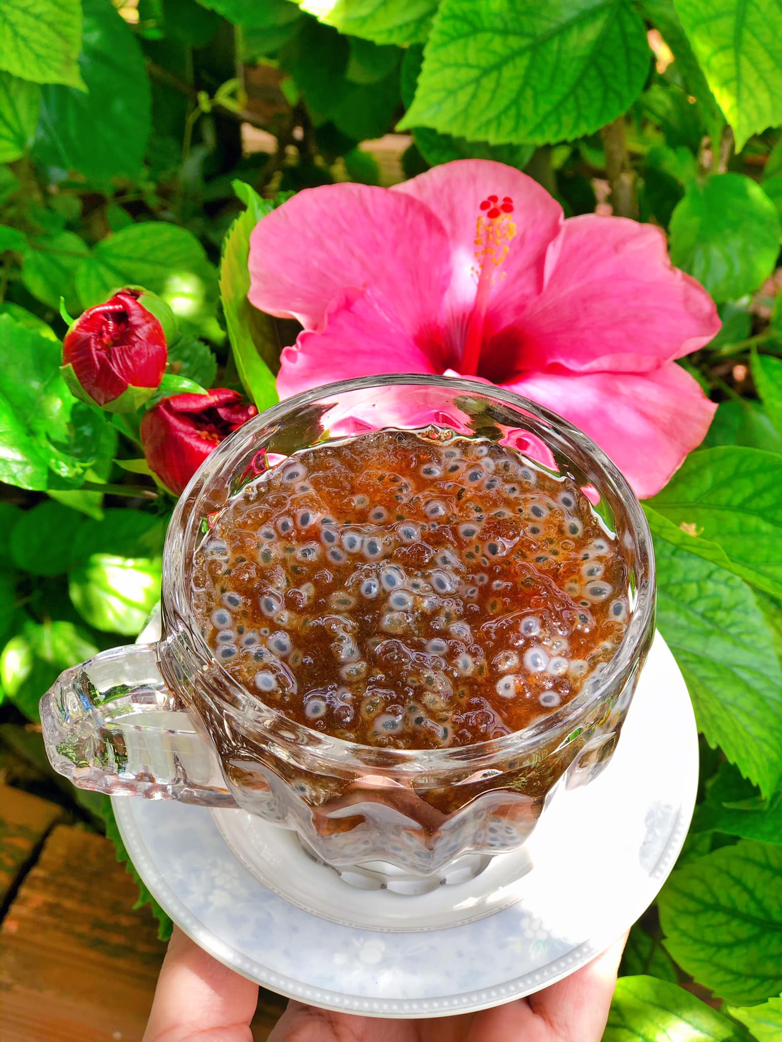 Loại hạt được mệnh danh "yến của núi rừng" vừa thanh mát giải nhiệt vừa tốt cho sức khỏe - Ảnh 12.