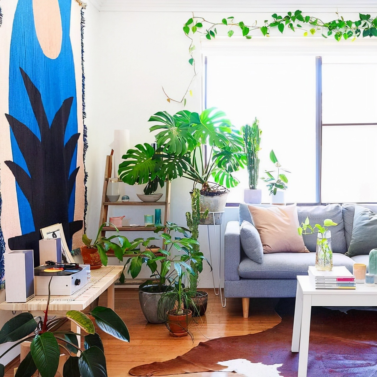 Nhà giàu luôn đặt cây cảnh ở 3 vị trí này để hút tài, chiêu lộc - Ảnh 2.