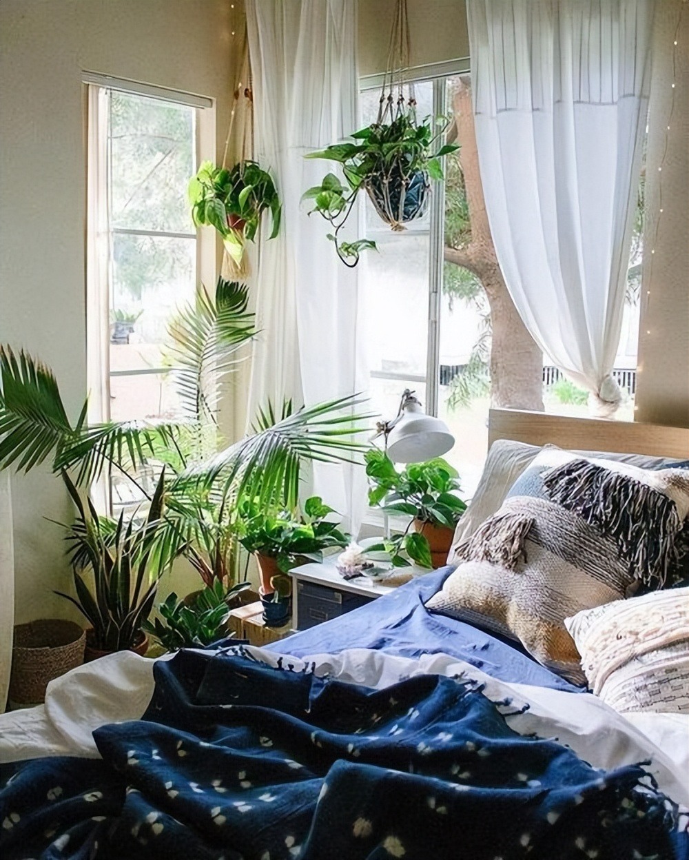 Nhà giàu luôn đặt cây cảnh ở 3 vị trí này để hút tài, chiêu lộc - Ảnh 3.