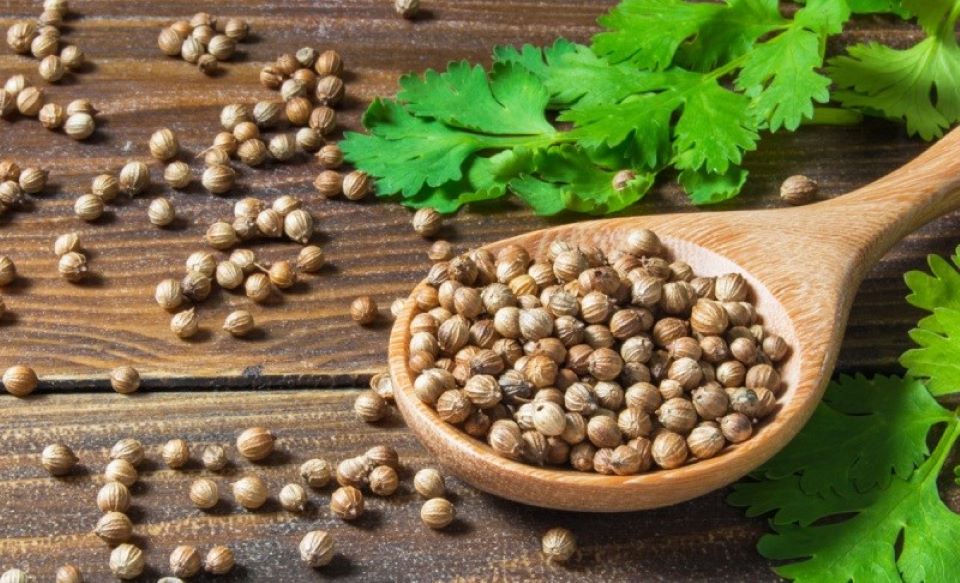 Loại hạt bé tí, có nhiều công dụng cho sức khỏe, là loại gia vị không thể thiếu khi nấu món phở gà. - Ảnh 1. Loại hạt bé tí, có nhiều công dụng cho sức khỏe, là loại gia vị không thể thiếu khi nấu món phở gà. - Ảnh 1.