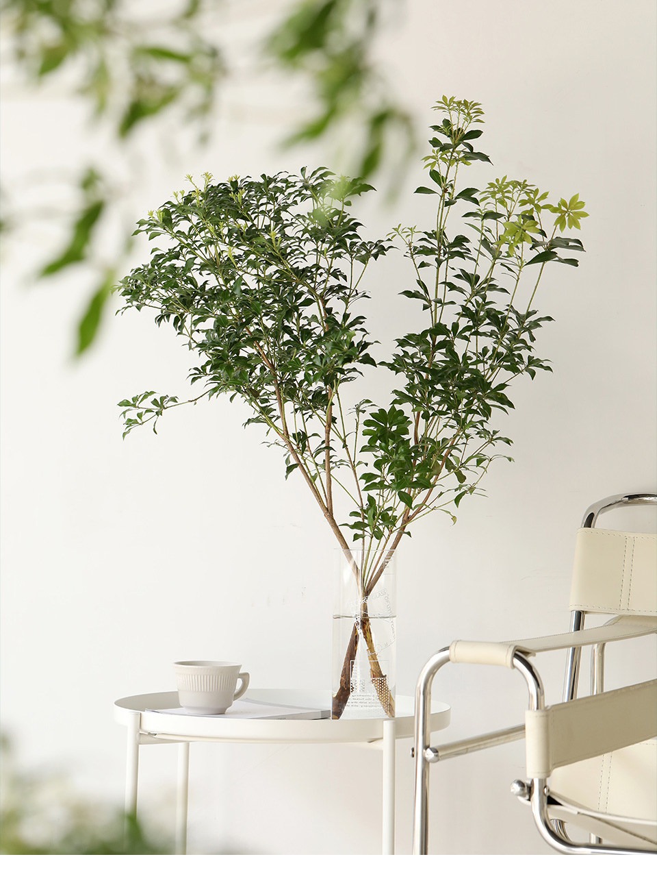 Nhà giàu thích trồng 4 cây cảnh hiện đại, sang chảnh này ở phòng khách, hút vận may, tài lộc cho gia đình - Ảnh 8.