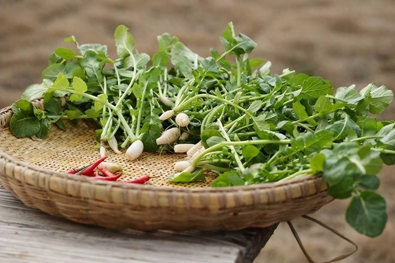 Loại rau rẻ tiền, ăn 1 cân sẽ bổ gan, sáng mắt - Ảnh 2.