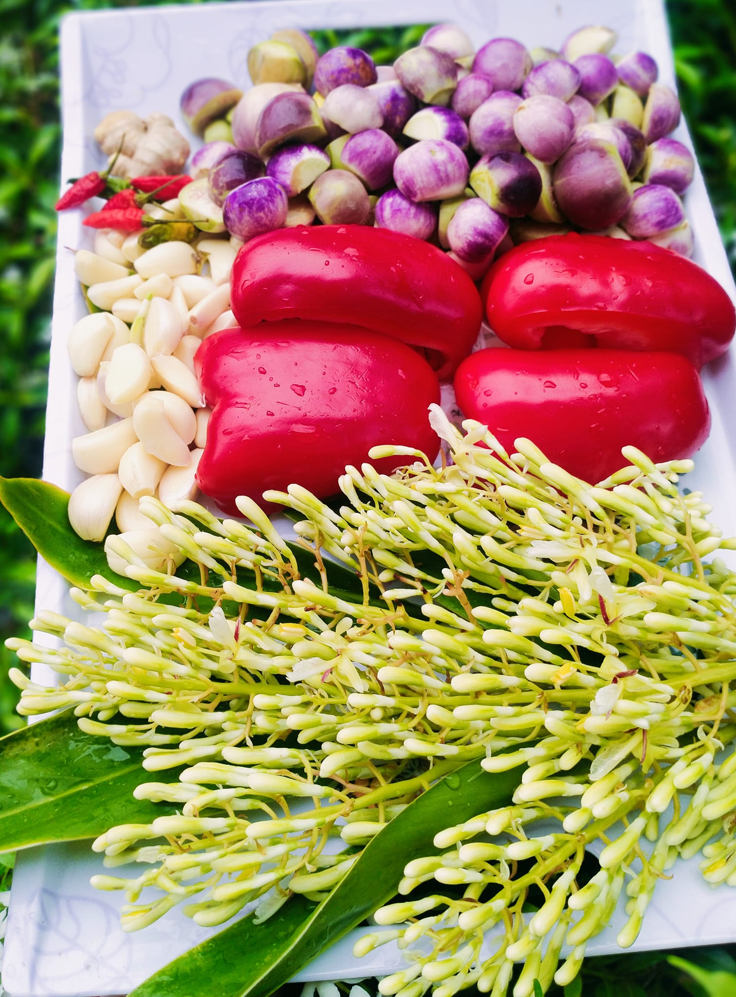 Hoa của loại cây mọc hoang tưởng thứ bỏ đi, ai ngờ đem muối cà tạo hương vị cực ngon - Ảnh 2.