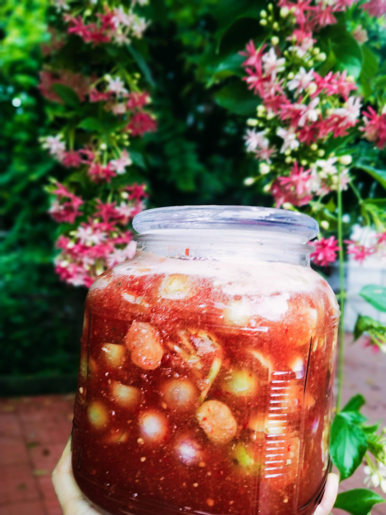 Hoa của loại cây mọc hoang tưởng thứ bỏ đi, ai ngờ đem muối cà tạo hương vị cực ngon - Ảnh 6.