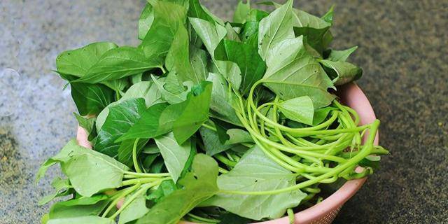 Loại rau có vitamin gấp 8 lần táo, thanh nhiệt, giải độc, ẩm phổi, dưỡng da, làm món nguội cực ngon - Ảnh 2. Loại rau có vitamin gấp 8 lần táo, thanh nhiệt, giải độc, ẩm phổi, dưỡng da, làm món nguội cực ngon - Ảnh 2.