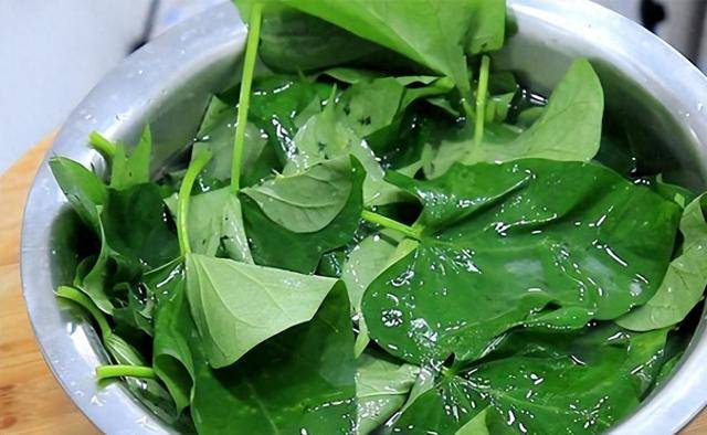 Loại rau có vitamin gấp 8 lần táo, thanh nhiệt, giải độc, ẩm phổi, dưỡng da, làm món nguội cực ngon - Ảnh 4. Loại rau có vitamin gấp 8 lần táo, thanh nhiệt, giải độc, ẩm phổi, dưỡng da, làm món nguội cực ngon - Ảnh 4.