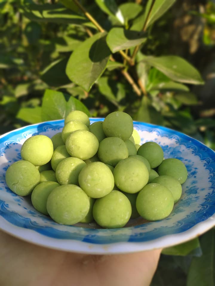 Loại củ “nhà nghèo” ngày xưa thành “đặc sản”, tưởng chỉ luộc và hấp, không ngờ nấu chè cực ngon  - Ảnh 3.