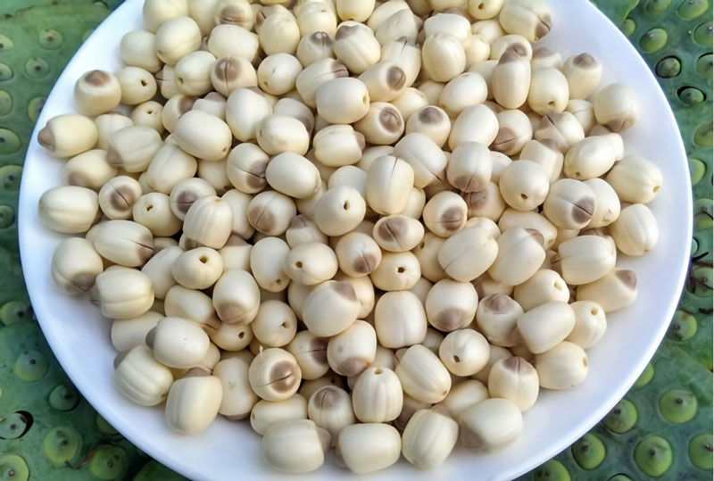 Loại hạt được xem là "thực phẩm vàng" cho giấc ngủ, đặc biệt tốt với người cao tuổi - Ảnh 1.