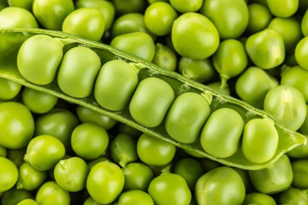 9 loại rau "vô địch", các chuyên gia dinh dưỡng không cho phép bạn không biết - Ảnh 6.