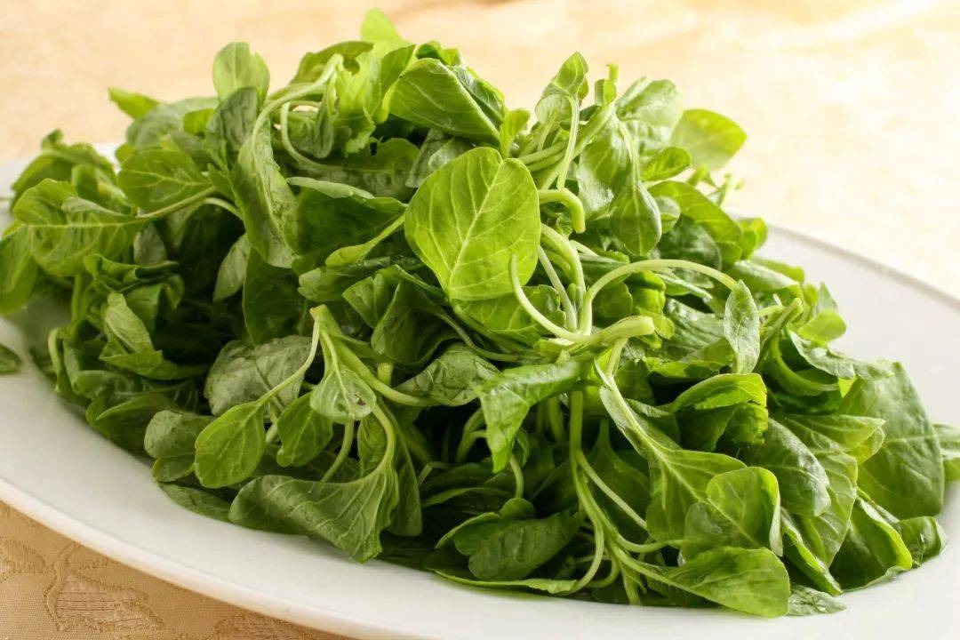 9 loại rau "vô địch", các chuyên gia dinh dưỡng không cho phép bạn không biết - Ảnh 8.