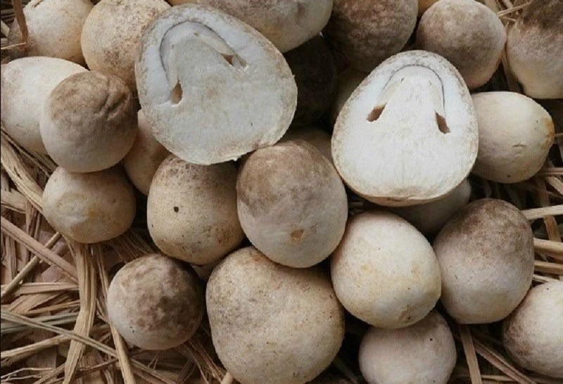 9 loại rau "vô địch", các chuyên gia dinh dưỡng không cho phép bạn không biết - Ảnh 6.