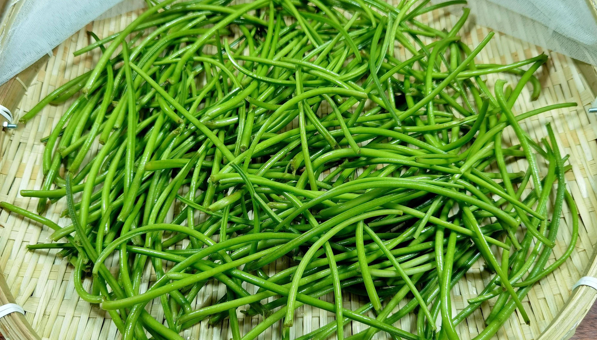 Loại rau rẻ tiền, toàn thân đều là "báu vật", bổ mắt, dưỡng ruột, xào tỏi, làm bánh cực thơm ngon - Ảnh 2.