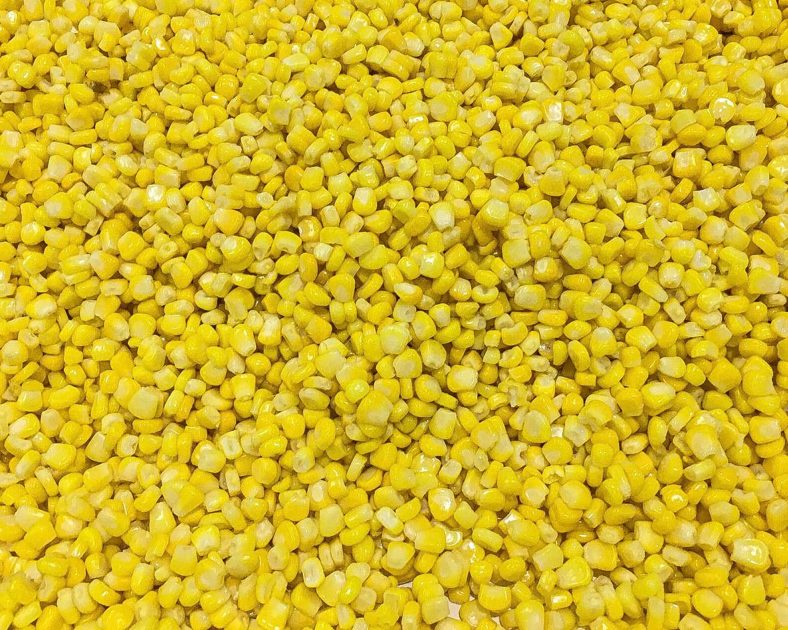 Loại quả được mệnh danh là "thực phẩm trường thọ", có tác dụng chống ung thư cực tốt, đem nấu chè rất ngon - Ảnh 4.