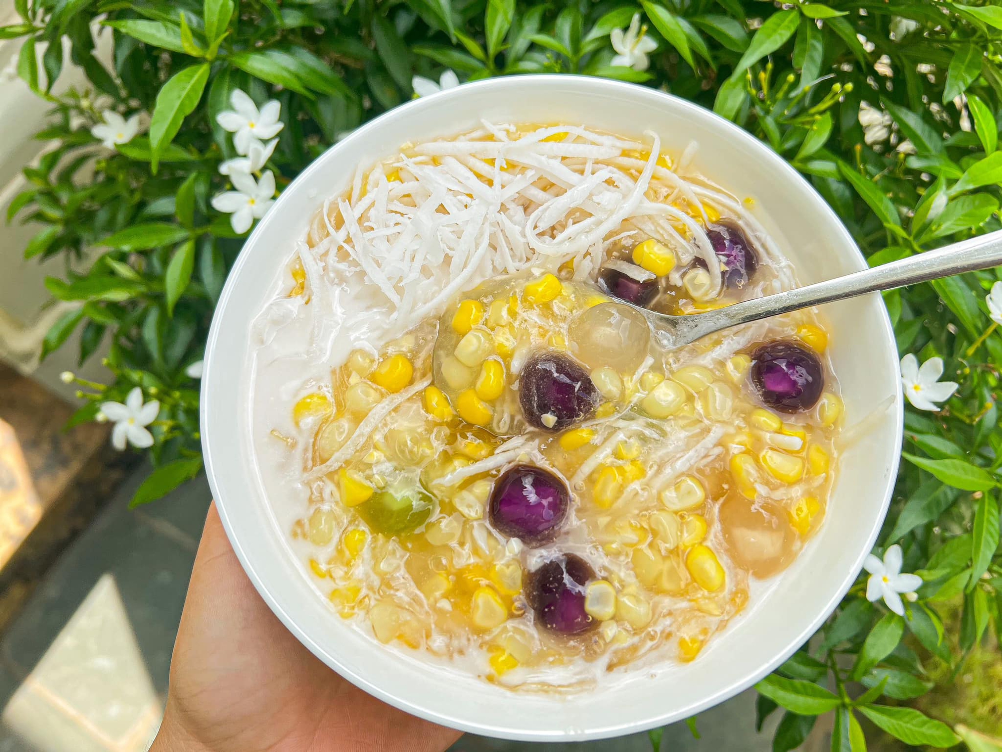 Loại quả được mệnh danh là "thực phẩm trường thọ", có tác dụng chống ung thư cực tốt, đem nấu chè rất ngon - Ảnh 6.