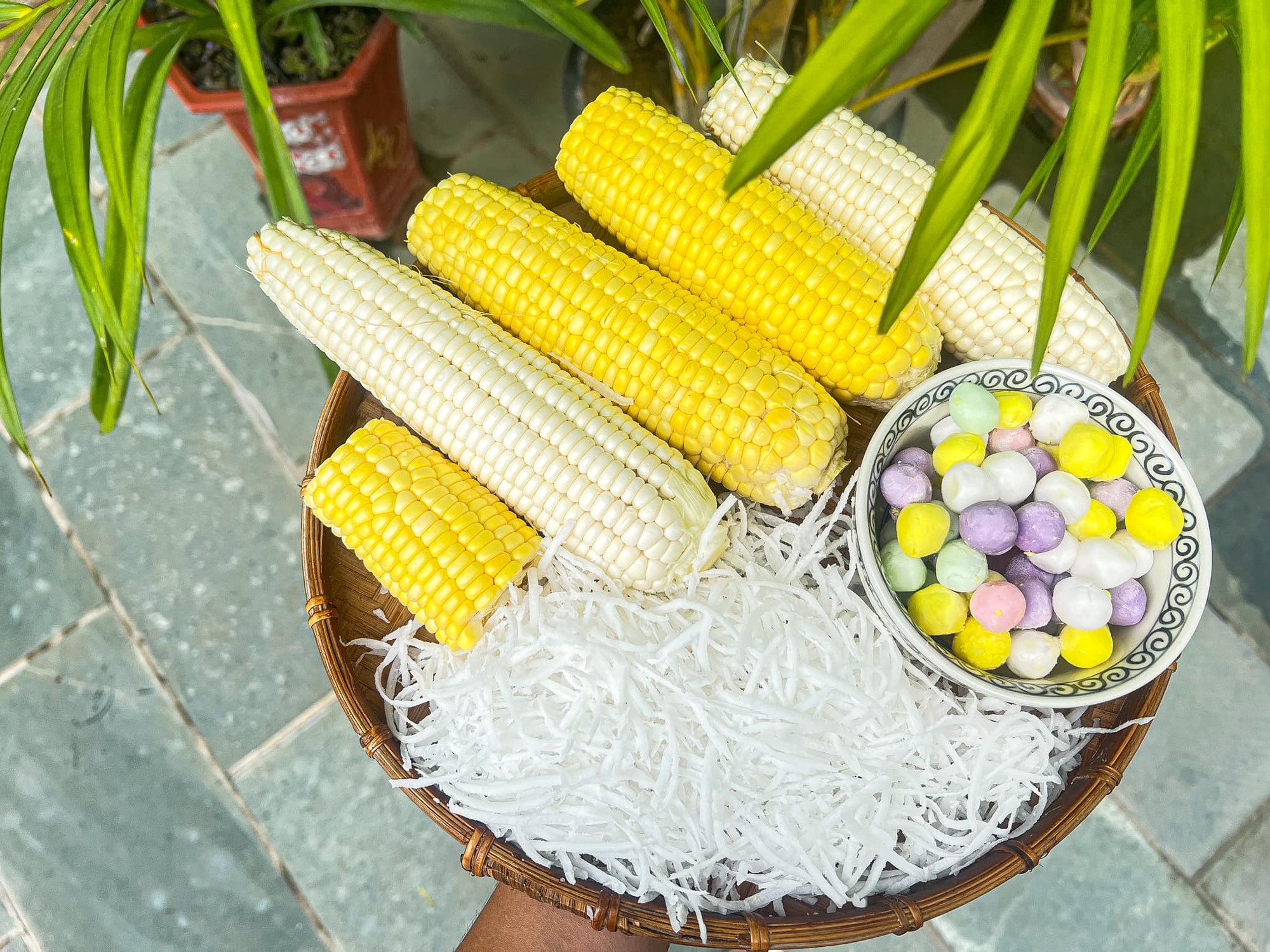 Loại quả được mệnh danh là "thực phẩm trường thọ", có tác dụng chống ung thư cực tốt, đem nấu chè rất ngon - Ảnh 2.