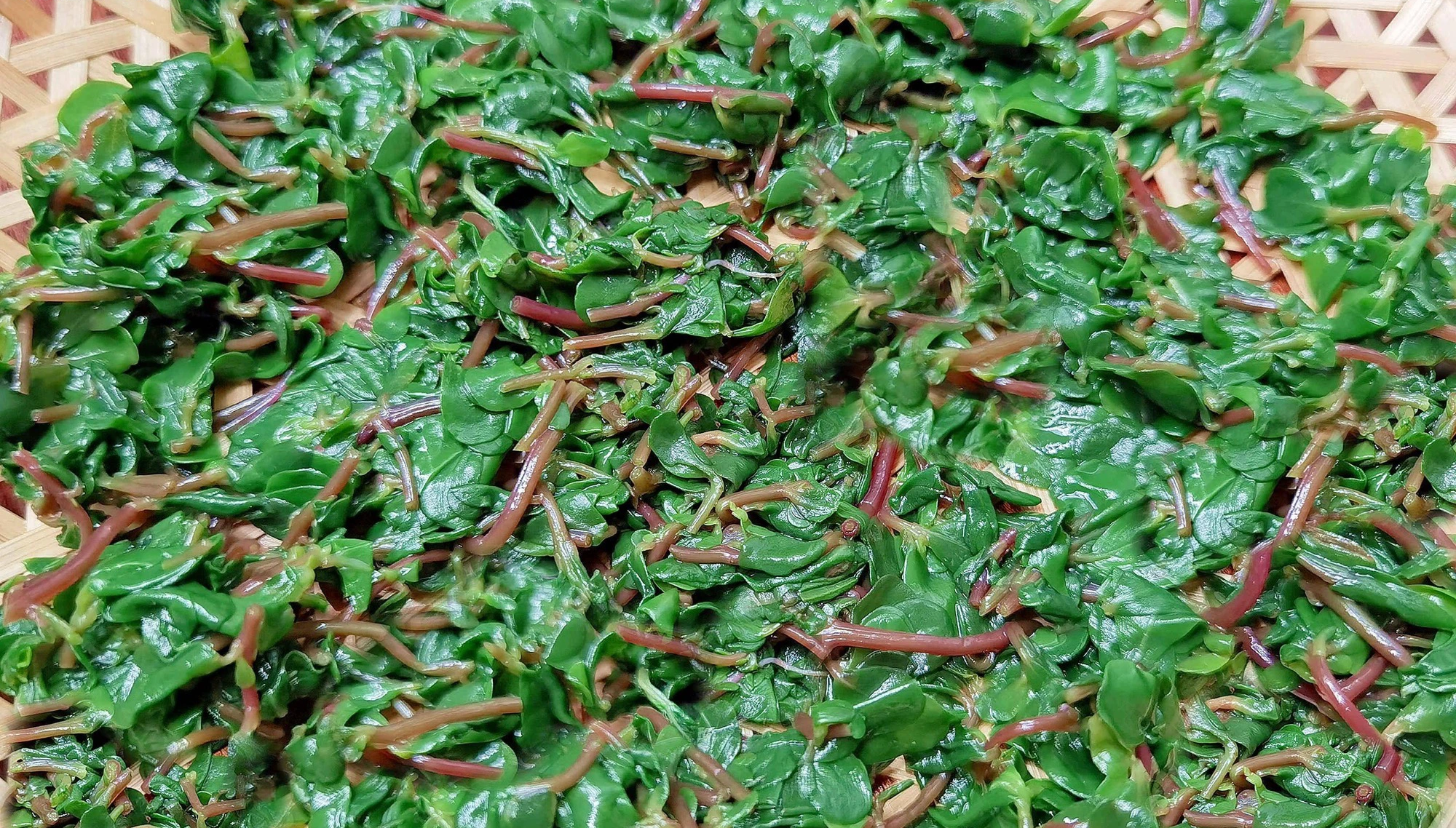 Loại rau dại mọc hoang khắp nơi, phơi khô giá trị hàng chục lần, làm bánh hấp, hầm thịt siêu ngon - Ảnh 3.