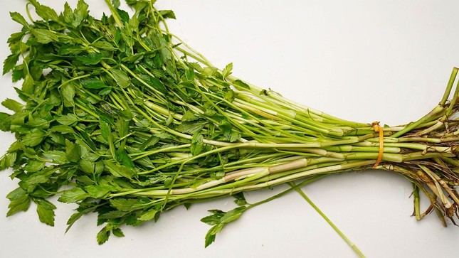 Loại rau của mùa đông, rất tốt cho người bị cao huyết áp và tiểu đường, nấu canh vừa thơm vừa ngọt - Ảnh 1.