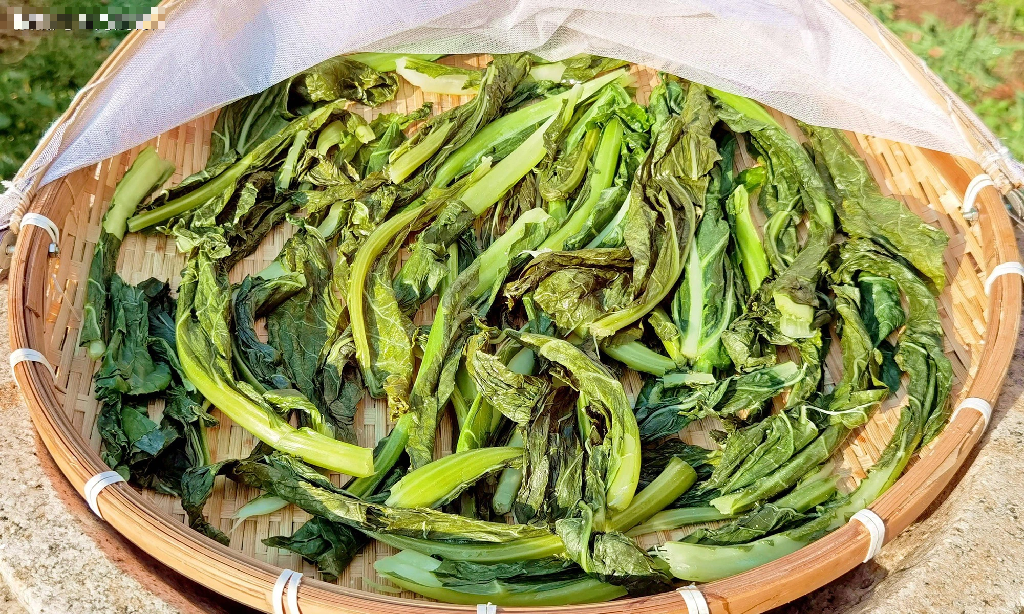 Loại rau chỉ ăn hoa, hóa ra lá là "nhà vô địch axit folic", sấy khô thành món mùa đông cực phẩm - Ảnh 2.