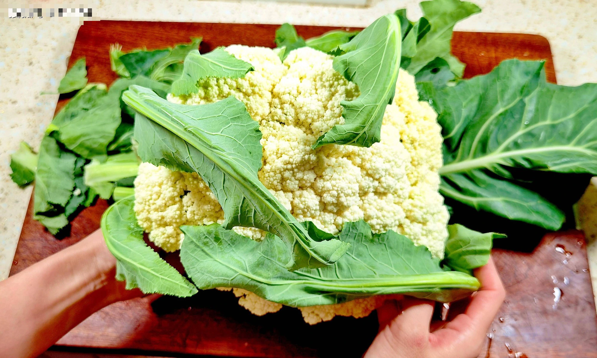 Loại rau chỉ ăn hoa, hóa ra lá là "nhà vô địch axit folic", sấy khô thành món mùa đông cực phẩm - Ảnh 1.