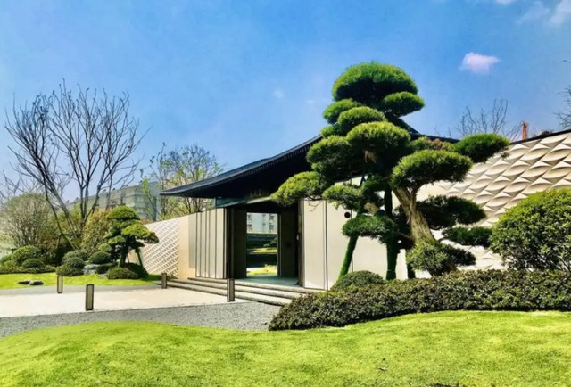 Trồng cây cảnh "tứ đại gia" để bảo vệ ngôi nhà, thu hút may mắn, càng già càng có giá trị - Ảnh 7.