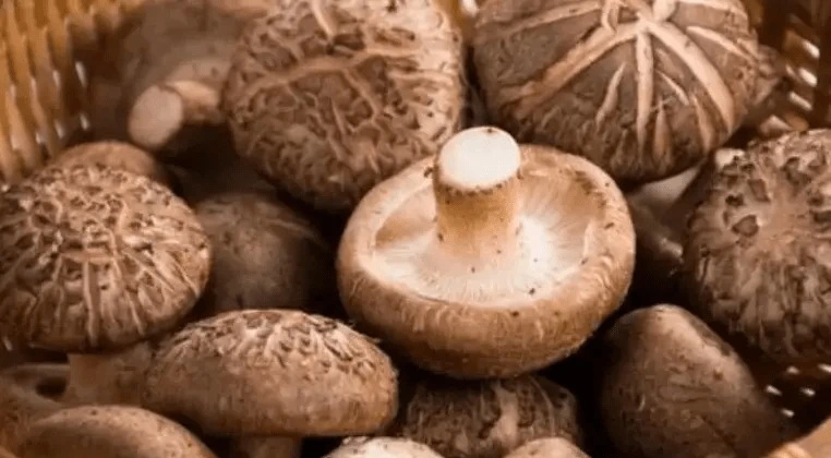 Loại rau "vua miễn dịch", giàu dinh dưỡng hơn thịt bò, chế biến kiểu gì cũng ngon, trẻ già đều mê - Ảnh 1.