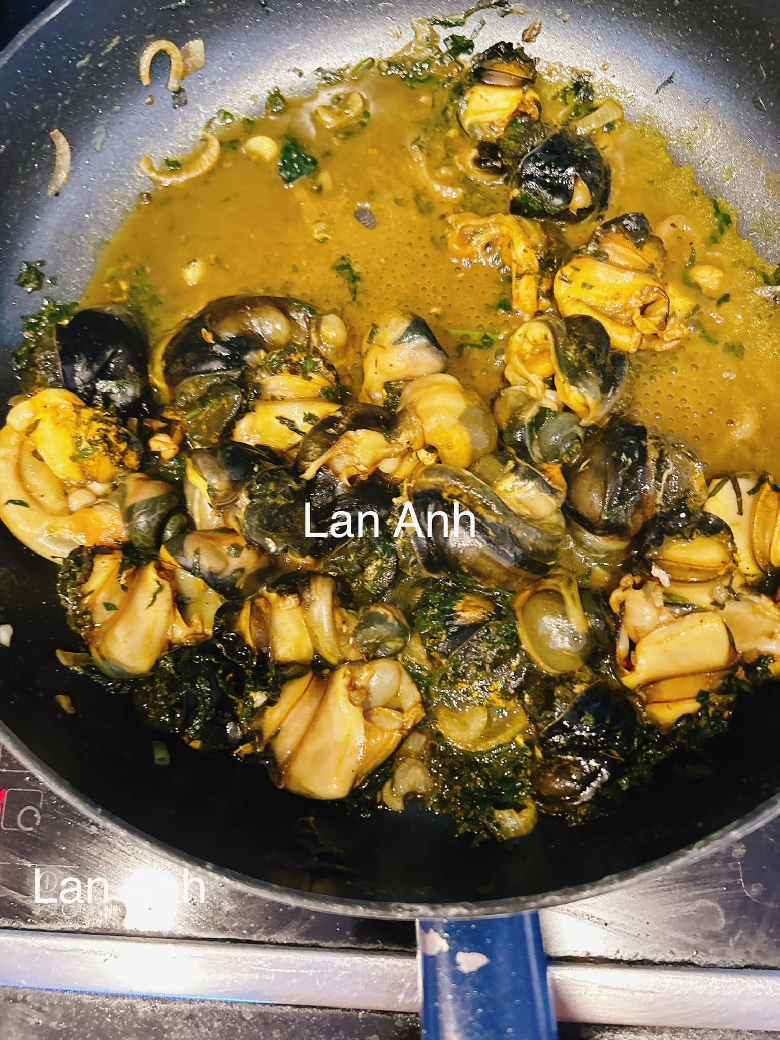 Loại động vật thân mềm ăn vừa ngon vừa có tác dụng chữa bệnh, được nhiều người yêu thích - Ảnh 5.