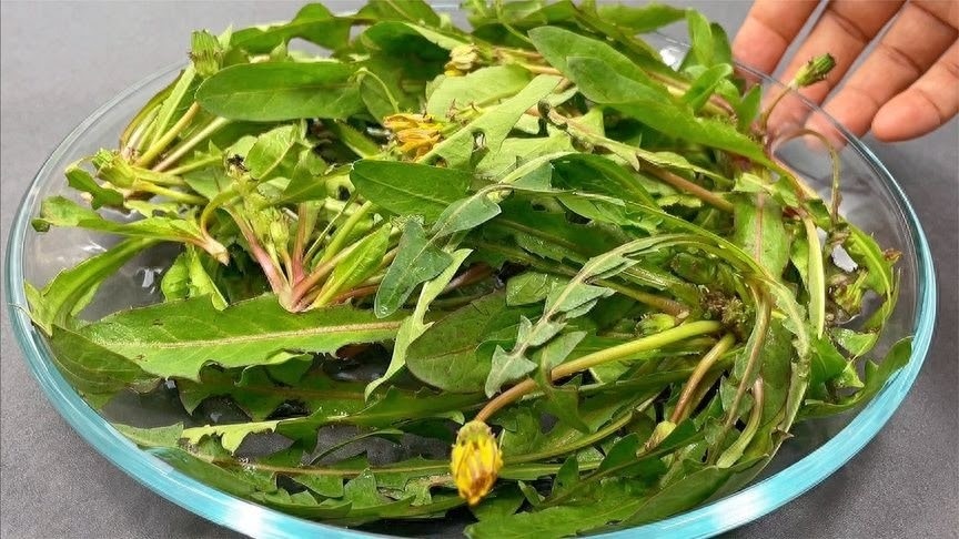 Loại rau dại toàn bị nhổ bỏ hóa ra là "vua bổ gan", ăn nhiều giải độc, 10 phút là có món ngon - Ảnh 2.