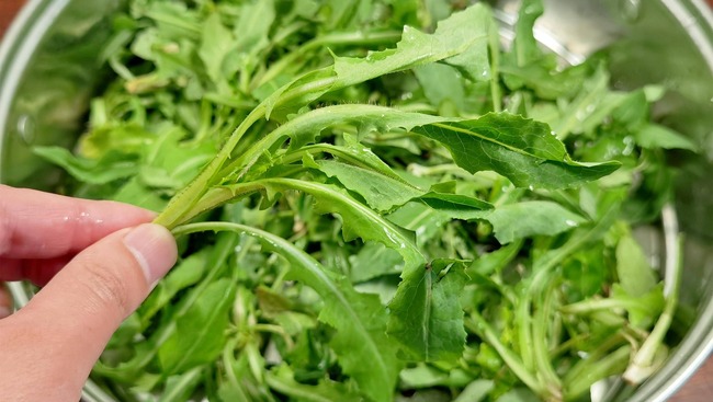 Loại rau dại toàn bị nhổ bỏ hóa ra là "vua bổ gan", ăn nhiều giải độc, 10 phút là có món ngon - Ảnh 3.