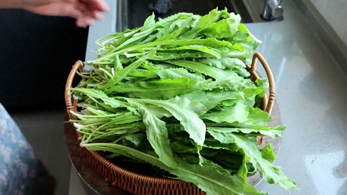 Loại rau dại toàn bị nhổ bỏ hóa ra là "vua bổ gan", ăn nhiều giải độc, 10 phút là có món ngon - Ảnh 4.
