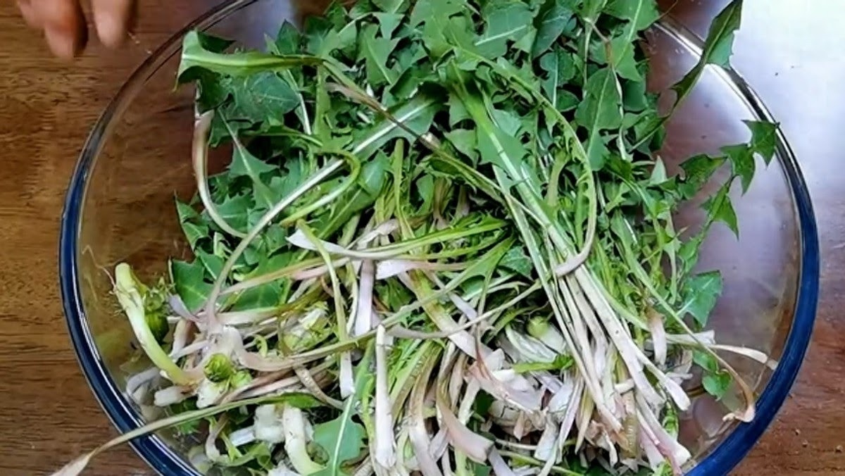 Loại rau dại toàn bị nhổ bỏ hóa ra là "vua bổ gan", ăn nhiều giải độc, 10 phút là có món ngon - Ảnh 10.