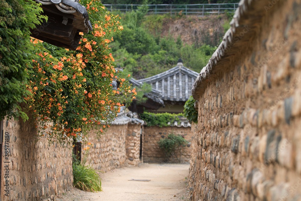 Vẻ đẹp cổ điển, yêu kiều của loài hoa cát tường, trồng trong sân đón vui tươi, may mắn mỗi ngày - Ảnh 8.