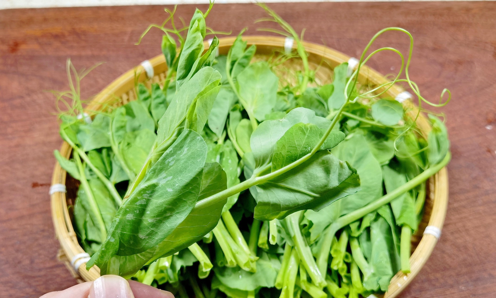 Loại rau "râu rồng" ít người biết, ăn nhiều cải thiện thị lực, nuôi dưỡng gan, xào tỏi cực thơm - Ảnh 7.