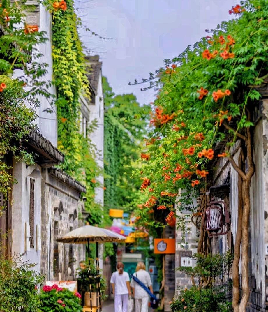 Vẻ đẹp cổ điển, yêu kiều của loài hoa cát tường, trồng trong sân đón vui tươi, may mắn mỗi ngày - Ảnh 9.
