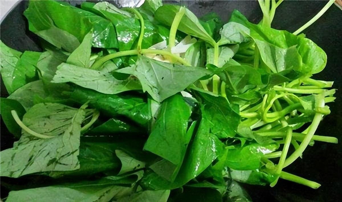 Loại rau rẻ hơn củ sen, bổ dưỡng hơn bí ngô, ăn nhiều kiểm soát đường, nhuận tràng, làm bánh ngon - Ảnh 4.