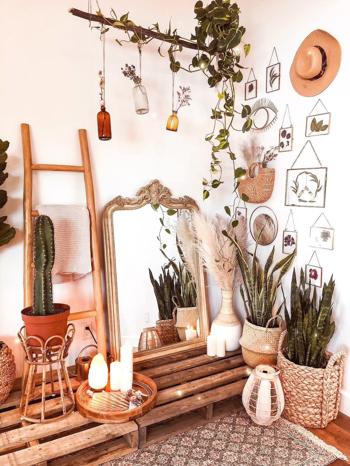 Loại cây cảnh "thôi miên" cấp oxy, thanh lọc không khí, đặt 1 chậu trong phòng, ngủ đến bình minh - Ảnh 5.